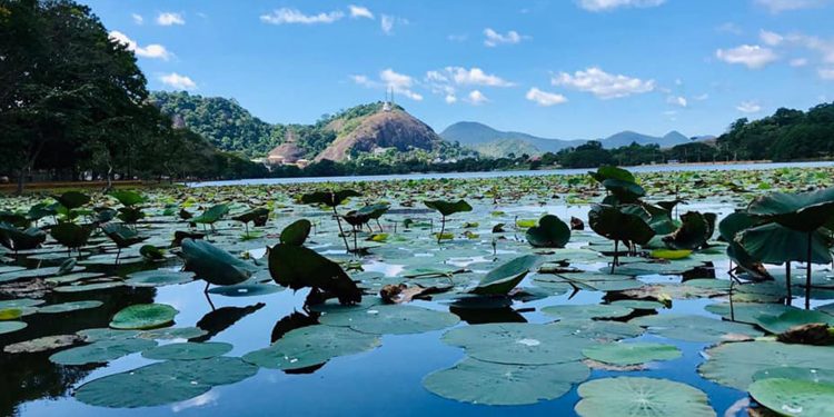 පිරිත් අසමින් සිටි වත්හිමි රජුටත් ජීවිතය අහිමි කළ කුරුණෑගල වැවේ අද්භූත රන් තලියට මොකද වුණේ?