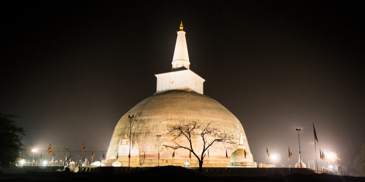 හිටිහැටියේ රුවන්වැලිසෑයෙන් මතුවුණු නෙළුම් මල මොකක්ද?