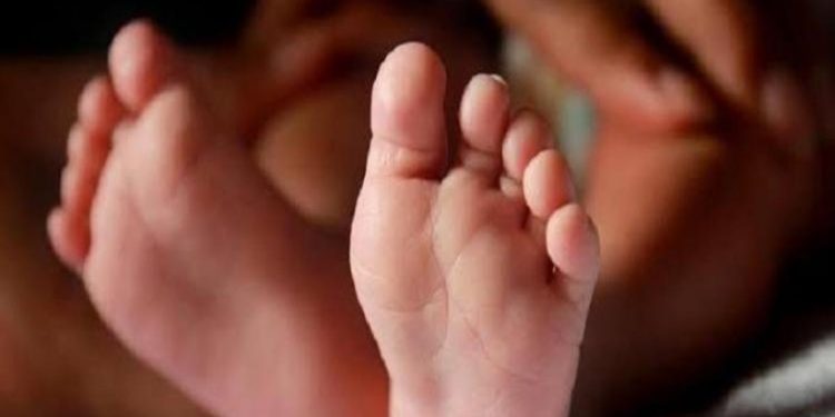 අඩි 2ක් දිග පණුවන් නහයෙන් කටින් එළියට ඇවිත්! මාස 10ක කොළඹ දරුවෙක් මරුදකී!