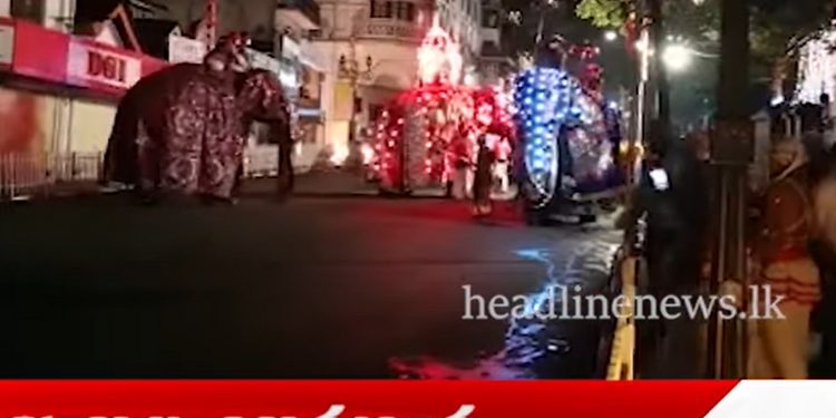 නුවර පෙරහරේ අලියෙක් කුලප්පු වෙයි! නැට්ටුවෝ පණ එපා කියා දුවති! (VIDEO)