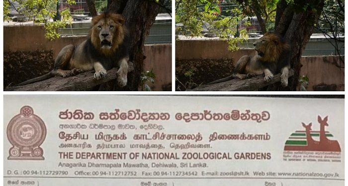 තවත් අධ්‍යක්ෂ ජනරාල්වරයෙක් ඉල්ලා අස්වෙයි!