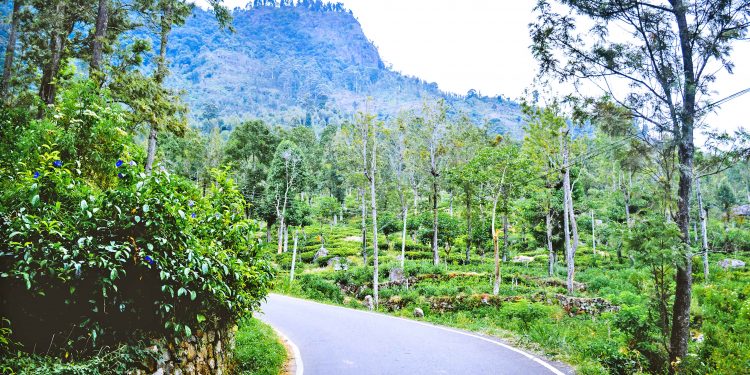 පුරුදු තැනකට වෙනස් පාරක්…
