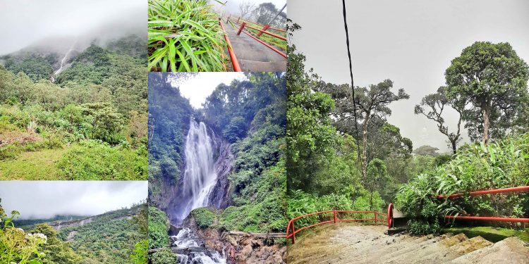 සමන් සුරිඳුගේ බාරේසිත නිවන මේ අවාරේ…