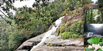 ඇලි හතක් උඩ රැයක්…