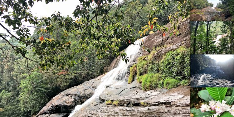 ඇලි හතක් උඩ රැයක්…