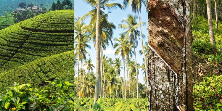 රට ගොඩදාපු තුන්කට්ටුව…