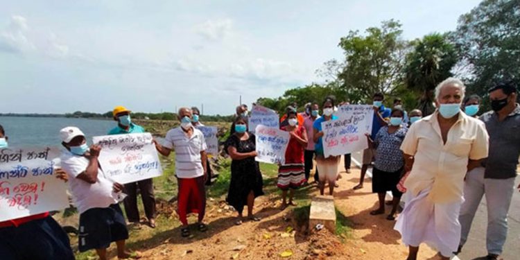 ගමට අලි පනිනවා! ජොගින් ට්‍රැක් එකට ගලවපු අලිවැට ගහපල්ලා!