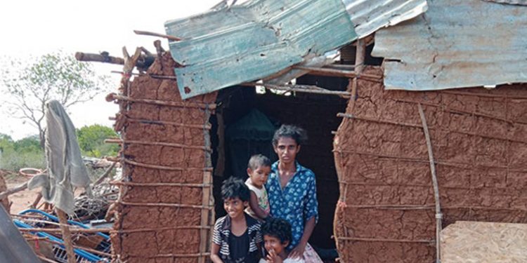 අලියත් එක්ක සටන් කළ සැමියා කකුල් දෙකයි අතකුයි කඩාගෙන බිරියයි දරු තිදෙනයි බේරගනී!