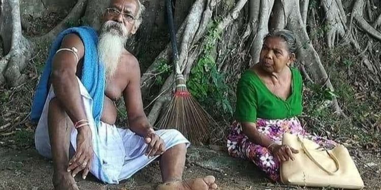 වන්නිල ඇත්තනුත් නිර්මාංශ කළ වන්නියේ මහඇත්තී!