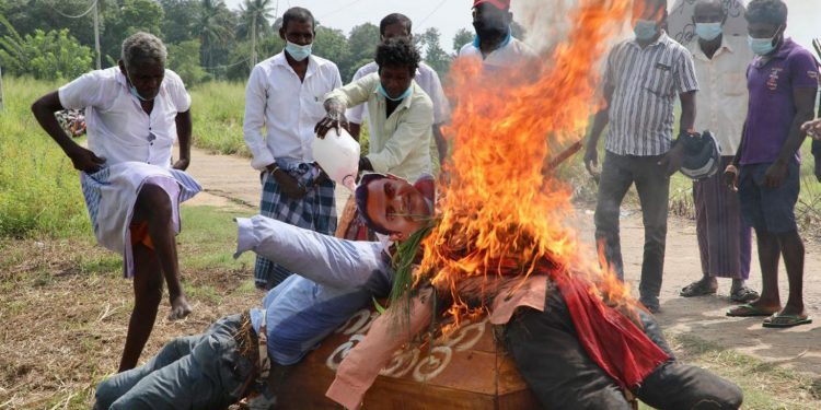 තොවිල් නටලා බෙර ගහලා රාජපක්ෂලාගේ පඹයොත් අරන් සජිත් හසලකට යයි! (VIDEO & PHOTOS)