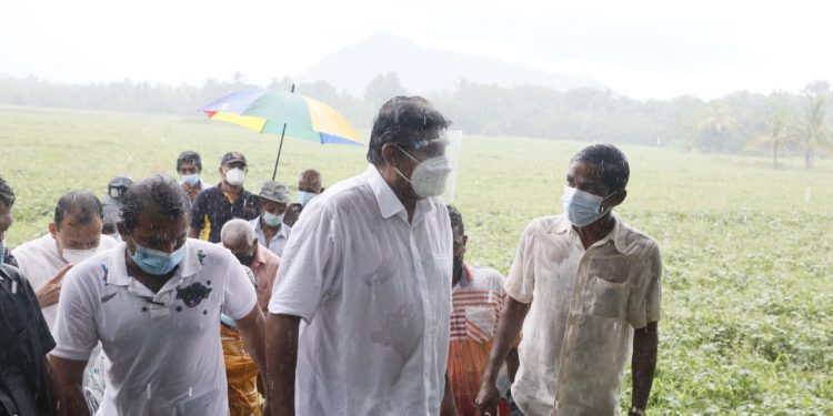 කුඹුරට ගිය ගොවියාට මෙදා අධිකරණයට යන්න වෙලා! මහ වැසි නොතකා සජිත් ගොවි දුක දෑහින් බලන්න කුඹුරට බසී! (VIDEO & PHOTOS)