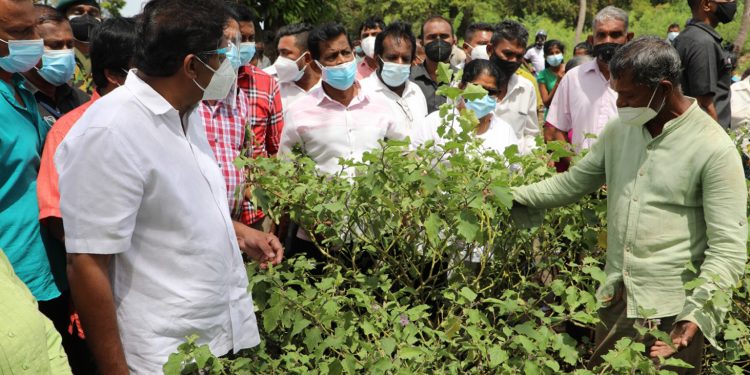 ඩී.එස්. හදපු කලාවැව ජනපදයටත් සජිත් යයි! ‌‌ගොවියො සජිත් ඉදිරියේ හඬා වැටෙයි! අපි ඉවරයි රට බේරගන්නැයි සජිත්ගෙන් ඉල්ලයි! (VIDEO)