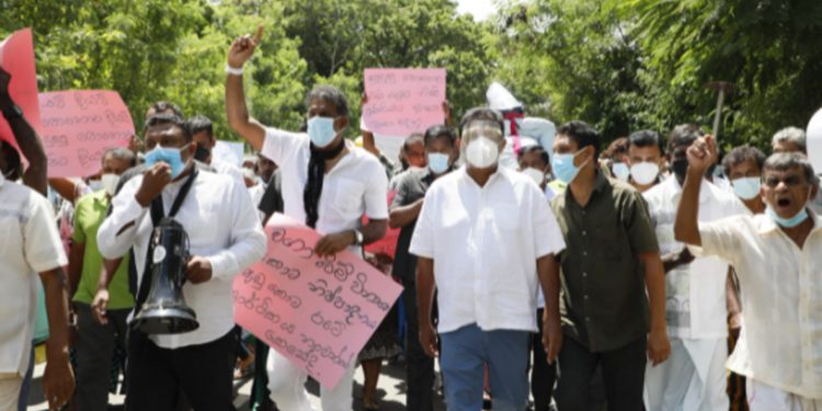 සජිත් ගොවියන් සමග පාරට බහී! පෙළපාලියටත් එකතු වෙයි! (VIDEO & PHOTOS)