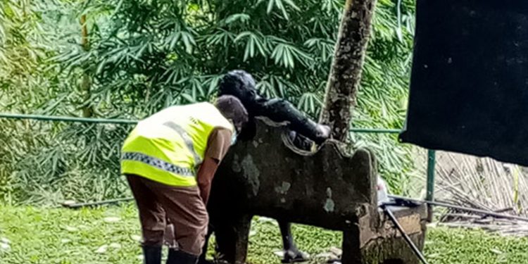 එඩ්වඩ් කුමාරයාගේ ගල් බංකුවේ බීපු දයානන්දට ගිනි තිබ්බාද? නැත්නම් ගිනි තියාගත්තාද?