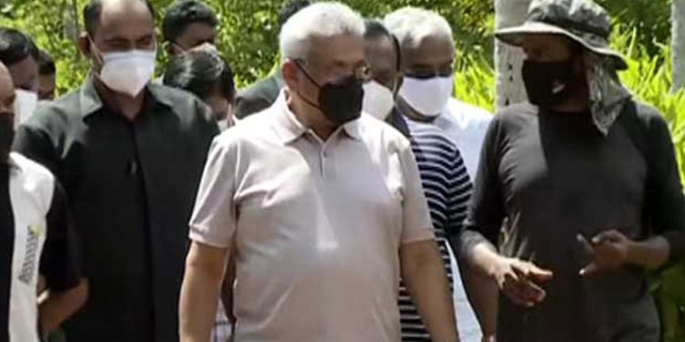 ජනපති කාබනික ගොවිපොළක් බලන්න යයි! නිකම් පරිප්පුවල ගාණ බලන්නයි හාල්වල ගාණ බලන්නයි නම් මාව වැඩක් නෑ!