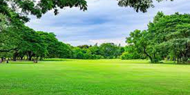 කෝටි 4ක් වියදම් කර කෞතුකාගාරයේ තණකොළ අල්ලන්න යයි!