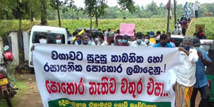 ‘පොහොර නැත්නම් උඹලගේ වතුරත් එපා’! නිලධාරීන් සුබ නැකතින් වගාවට ඇරපු සොරොව්ව ගොවීන් එවෙලේම වසා දමයි!