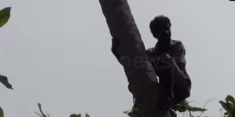 බඩගින්න ඉවසගන්න බෑ! පොල් ගහට නැගලා පනින්න ගිය නිමල්ට බඩු මල්ලක් දීලා ජීවිතේ බේරගනී! (VIDEO)