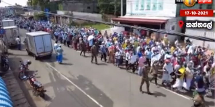 බලව් බලව් හොඳට බලව්… ගොවි ශක්තිය හොඳට බලව්…! (VIDEO)