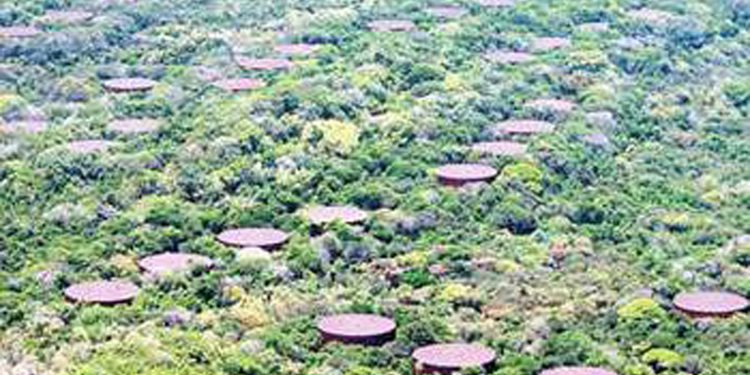 ඉන්දීය විදේශ ලේකම් අද රෑ එන්නේ 2023 අපිට හිමිවන ත්‍රි’මලේ තෙල් ටැංකි ගිවිසුම දික් කරගන්න! ගම්මන්පිලත් දැන් ත්‍රි’මලේ ගිහින්! (VIDEO)