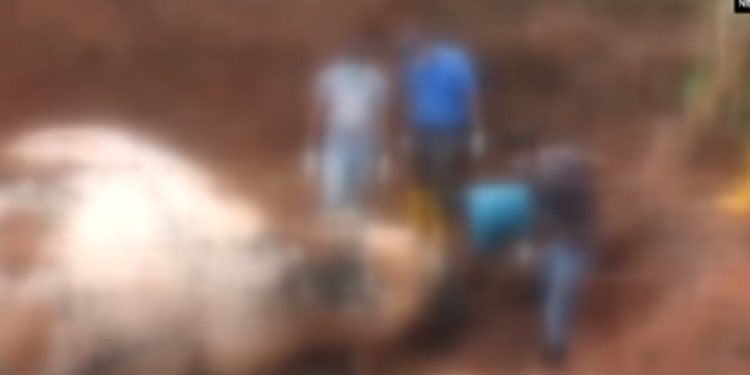 ඇතෙක් මරලා හොරෙන්ම වත්තේ වළ දාලා! (VIDEO)