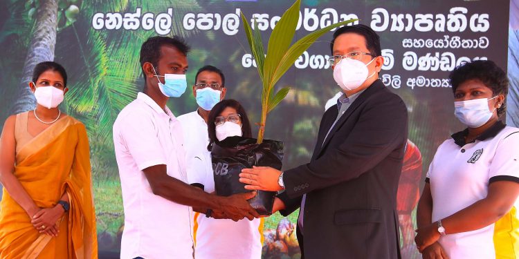 නෙස්ලේ, පොල් වගාකිරීමේ මණ්ඩලය සමග එක්ව තවත් ග්රාමීය පවුල් 1,000කට ප්රතිලාභ සලසයි…