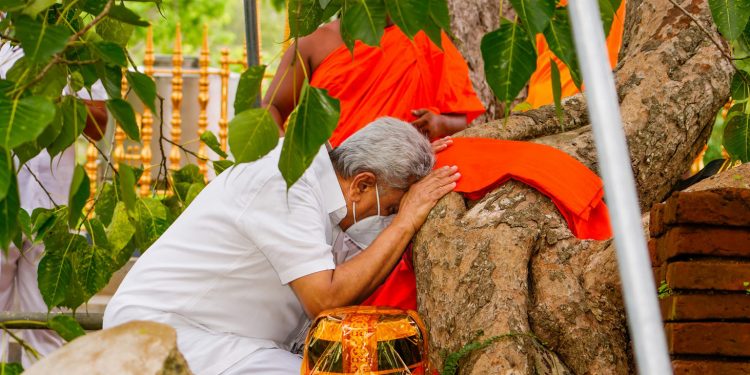 ජනපති ශ්රී මහා බෝධීන් වහන්සේ වැඳ පුදා ගනී! කිරි ආහාරත් පුදයි! (VIDEO)