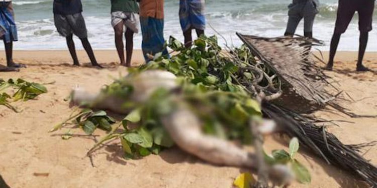 ඒ පාර මොකද්ද මේ? නාදුනන මළ සිරුරු යාපනේ වෙරළට ගොඩ ගසයි!