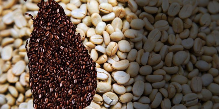 ලෝකය හොල්ලපු සිලෝන් කෝපි ඉතිහාසය…