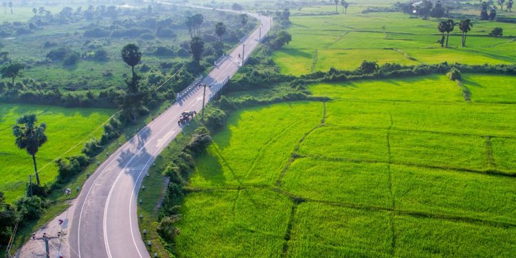 ජොනී අලුත් පාරක් අරියි! (PHOTOS)