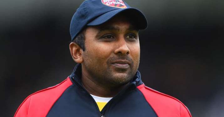 අවුරුද්දකින් ක්‍රිකට් ගොඩදාන වැඩේ මහේල බාර ගනී!