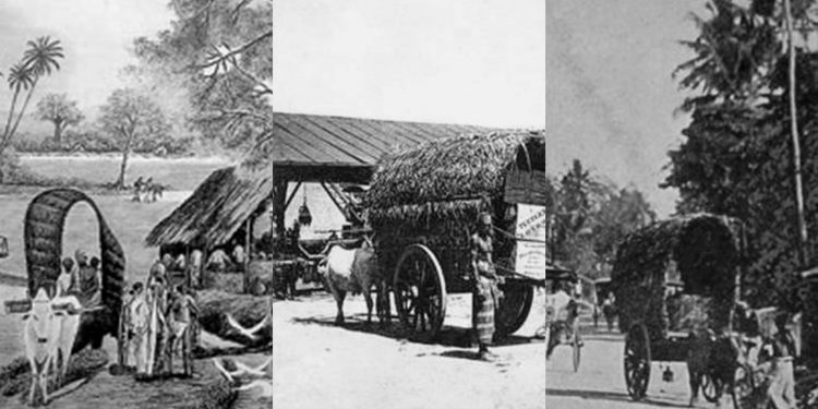 බඩ ගැන නොසිතා සල්ලි ගැන හිතලා සිංහලයට වැරැදුණු තැන්…