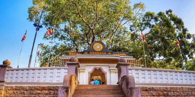 කාටත් රහසේ උඩමළුවේ සිදුවන මහා පූජාව…