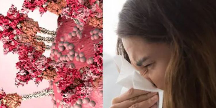 ඉන්ෆ්ලුවන්සා කොරෝනා එක්වී ‘ෆ්ලෝරෝනා’ උපද්දයි! පළමු රෝගියා වාර්තා වෙයි!