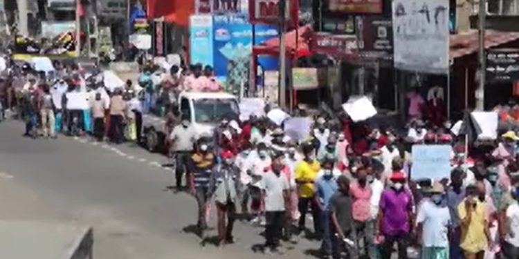 ගොවියො ආයෙත් පාරට බහී! අද පටන් ගනී! දිගටම යයි වගේ! (VIDEO)