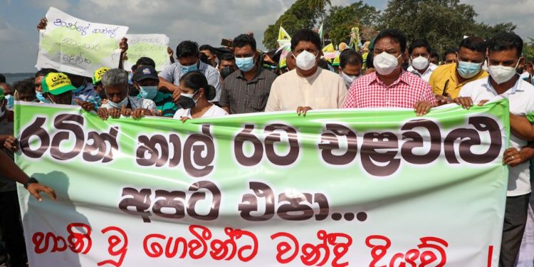 දැවැන්ත ගොවි පෙළපාලියකින් සජිත් ගලෙන්බිඳුණුවැවට එයි! (VIDEO & PHOTOS)