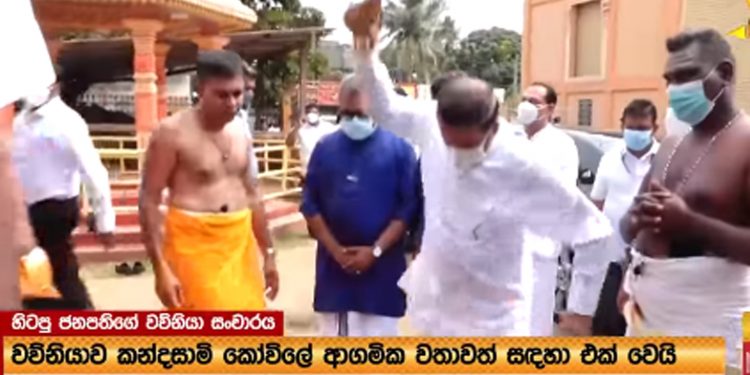 කන්දසාමි කෝවිලේ මෛත්‍රී පොල් ගහයි! (VIDEO)