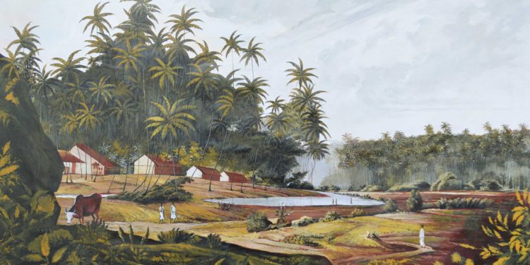 එකමුතු තුන්හෙළය විරසක කරවපු බෙදිල්ලෙ වෙඩිල්ල…