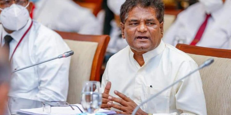 අලි පනිනවා.. මොනරු පනිනවා.. රිලව් පනිනවා..! ඒ පනින පනින සැරේට මිනිස්සු අපේ අම්මව මතක් කරනවා! අලි අගල් කපන්න මට සතපහක් දීලා නෑ! චමල් ඉදිරියේ තියාගෙන විමලවීර කියයි! (VIDEO)