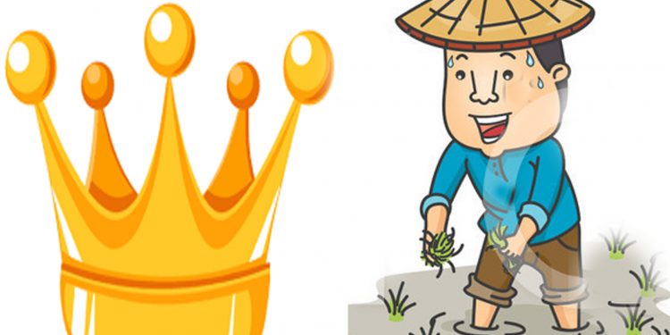 ඔටුන්නයි ගොවියයි අදින් පස්සෙ නෑ!