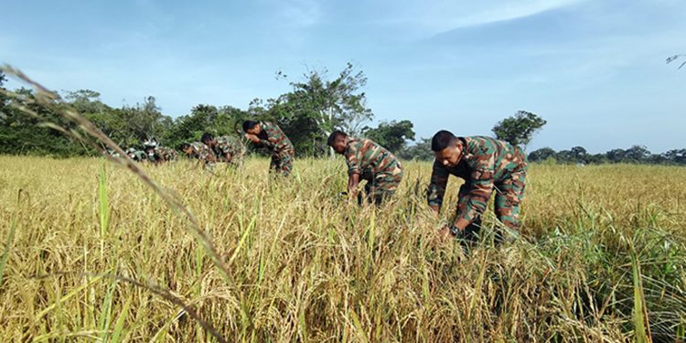 යළ කන්නයේ සිට රටේ සෑම කුඹුරකටම හමුදා නිලධාරියෙක්!