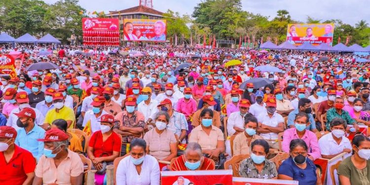 සල්ගාදු පිටියට මහ සෙනගක්!