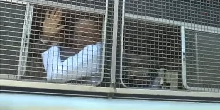 ගිහින් එන්නම් මල්ලි…! මට කතා කරන්න තහනම්…! ජයවේවා! (VIDEO)