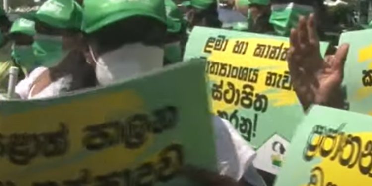 මෙන්න මාර වැඩක්! පාර්ලිමේන්තුව ඉස්සරහට ආපු රනිල්ගෙ ලක්වනිතාවෝ අපිට සජිත් හොඳයි කිය කියා කෑගහයි! (VIDEO)