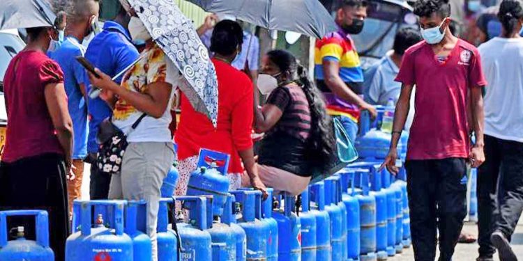 ජනාධිපතිවරණයේ කැලණියෙන් මතුවූ නාග රාජයා ගෑස් පෝලිමකින් යළි මතු වෙයි! ඒවා පෙන්නපු නාලිකා ගැනත් මතක් කරයි! තව හොඳ හොඳ කතා කියයි!