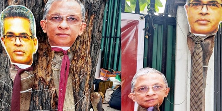 පොල්පිති සෞඛ්ය ලොක්කන් හතර දෙනා!