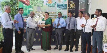 NSB අවුරුදු නැකැතට රට පුරා පැළ සිටුවයි…