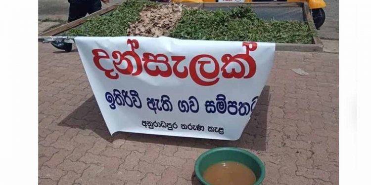 අනුරාධපුරේදී හදිසියේම තණකොළ-පුන්නක්කු දන්සලක් දෙයි!