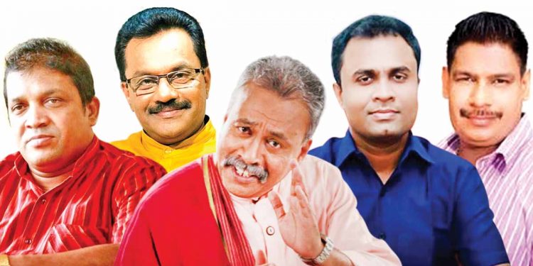 වටේටම කොට කොටා ගිහින් කෙහෙල් ගහේ හොට පටලවා ගත් කොට්ටෝරුවෝ!