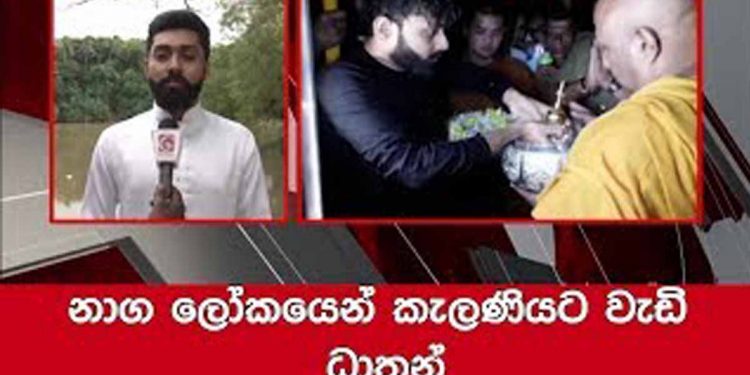 මෙන්න දැන් ලැබුණු විශේෂ පුවතක්! ‘කැළනි නාගයා’ ගෑස් පෝලිමකින් මතුවෙයි!